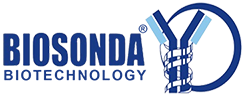 Biosonda