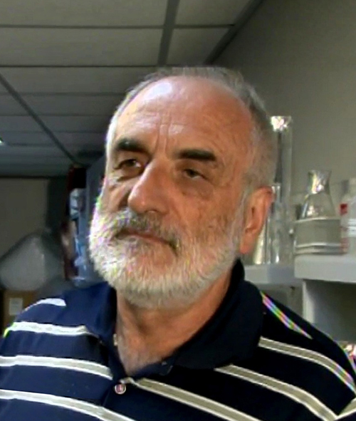 Alfredo De Ioannes